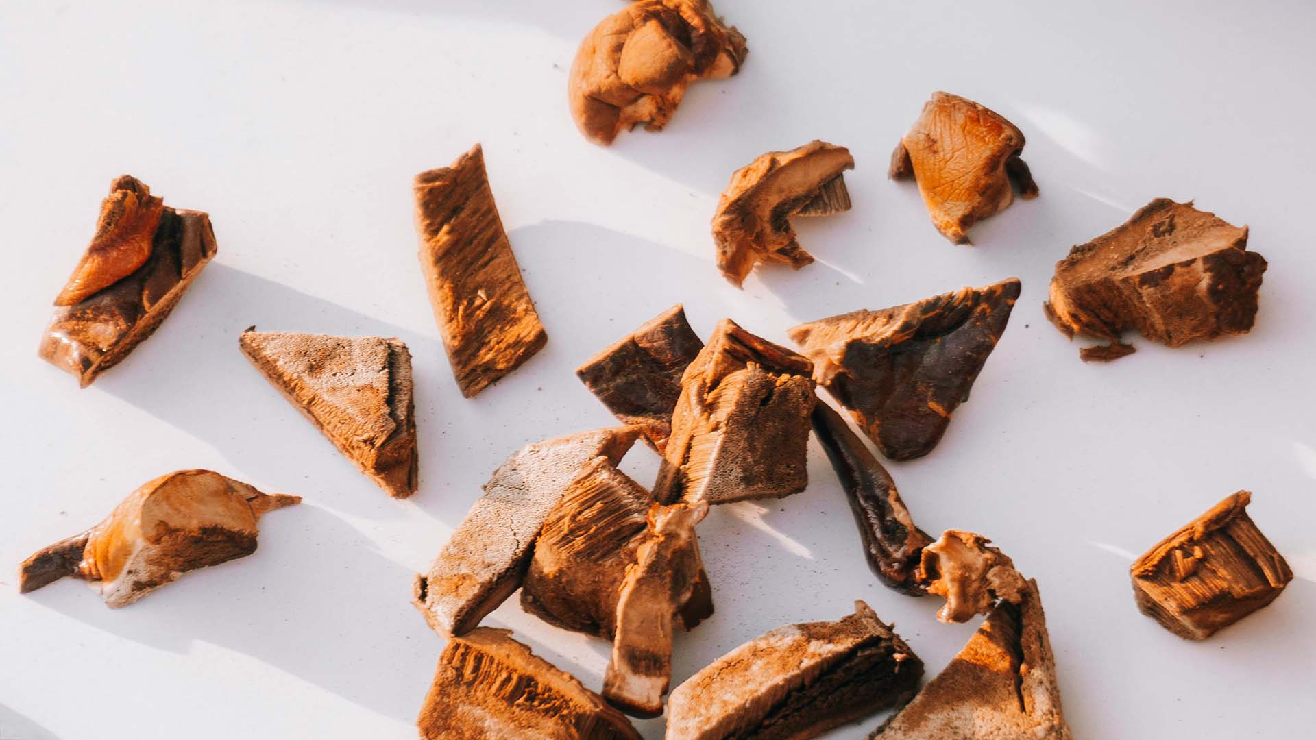 small cuts of dried Reishi Mushroom scattered on a white surface