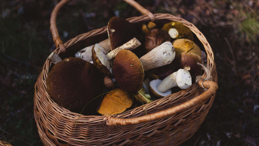 A basket of mushrooms