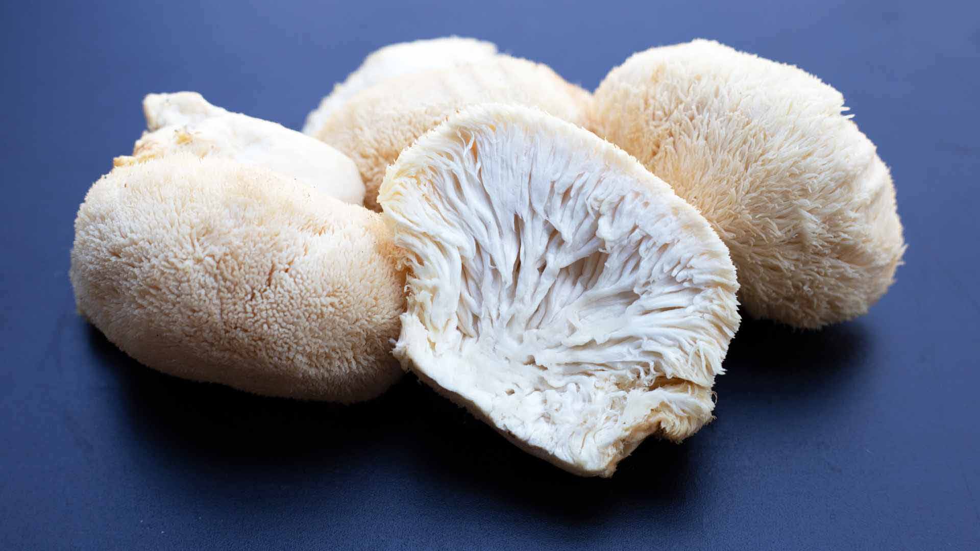 sliced lions mane mushroom in blue background