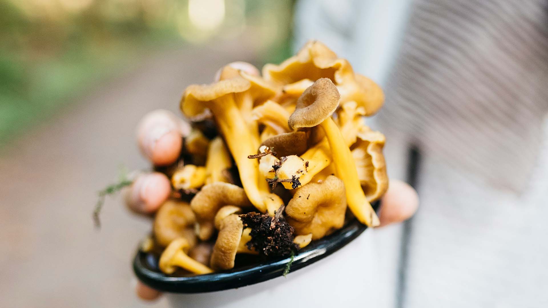 person holding a mug full of mushrooms