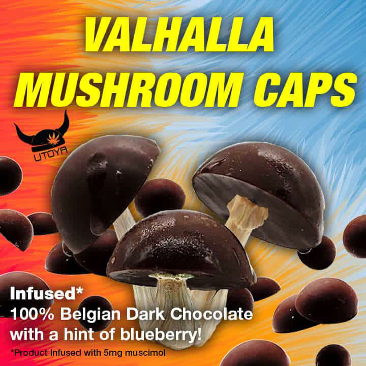 Valhalla Chocolate Mushroom Caps