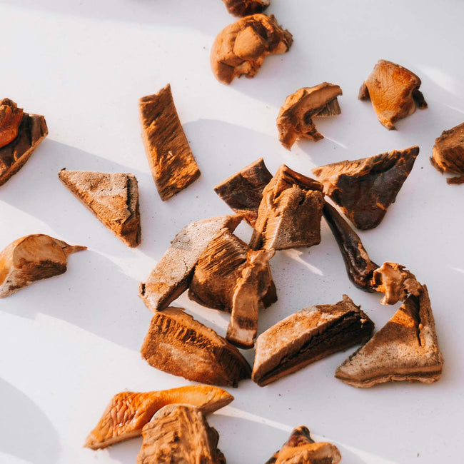 dried reishi mushrooms scattered on a white surface