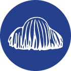 Lion’s Mane Mushroom icon